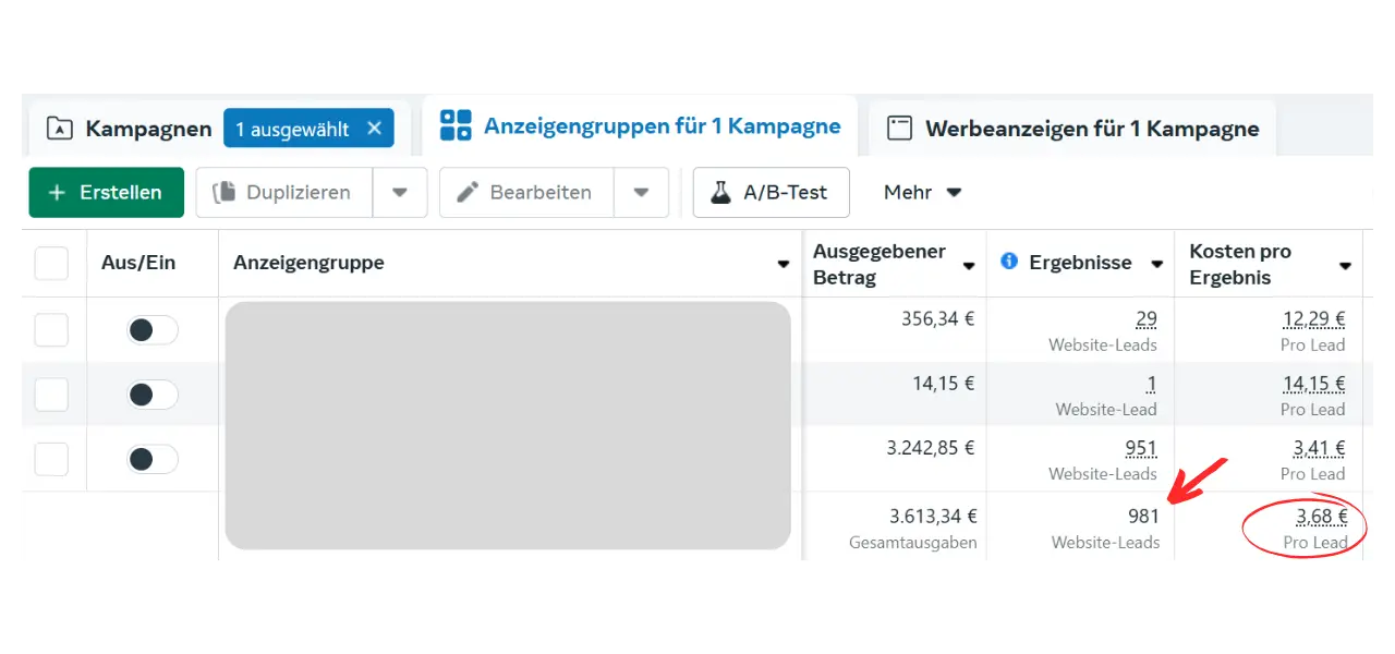 Finest Audience by Dawid Przybylski Finest Audience - Mehr Gewinn durch ansprechende Online-Werbung auf Facebook, Instagram, YouTube und Google!